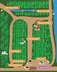 Cork Christmas Tree Farm: A Real Christmas Tree Experience in Ovens, Co. Cork Christmas trees Cork