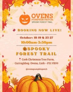 New Fun Pumpkin Patch in Cork Open This October pumpkin patch cork