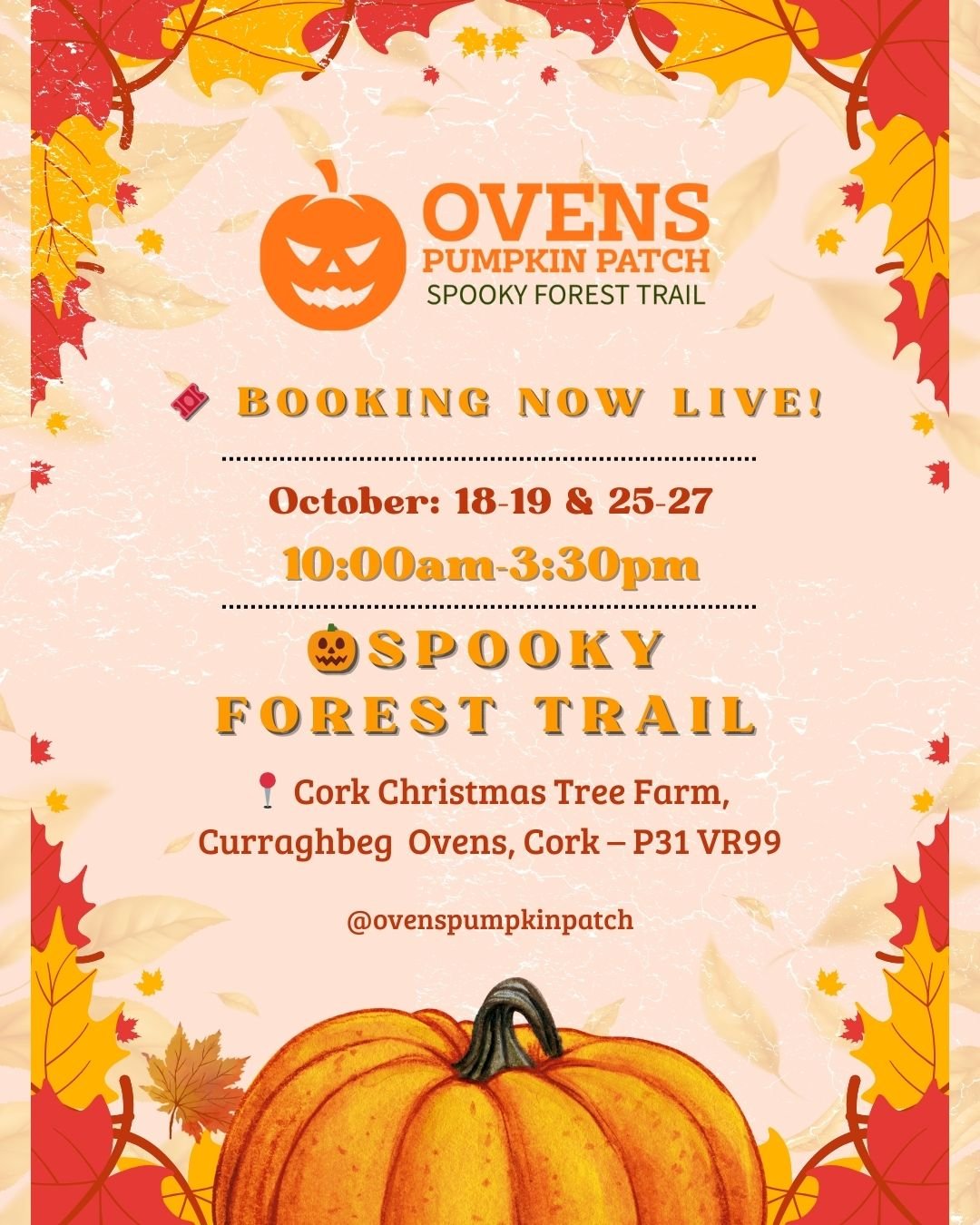 Pumpkin patch Cork